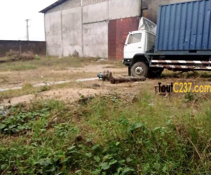 Entrepôt à vendre à Yassa, Douala