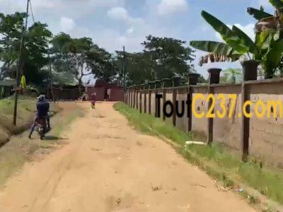Terrain à vendre à Logbessou Douala