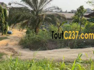 Terrain d'angle à vendre à a Logbessou