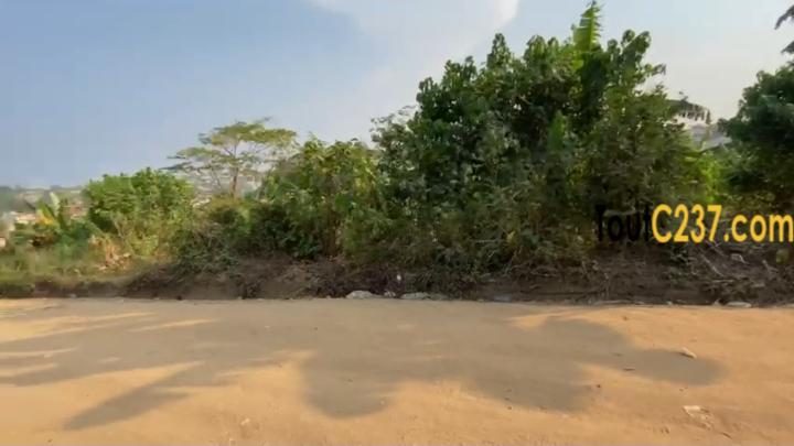 Terrain à vendre à Logbessou (Simo)