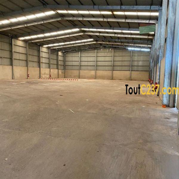 Entrepôt à louer à Bonaberi, Douala