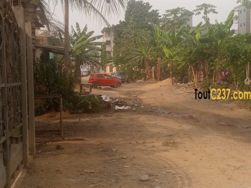 Terrain à vendre à Logbessou (Nickel oil)