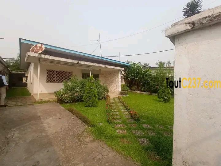 Maison en villa à louer à Bonapriso