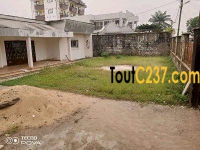 Maison en villa à louer à Bonaberi