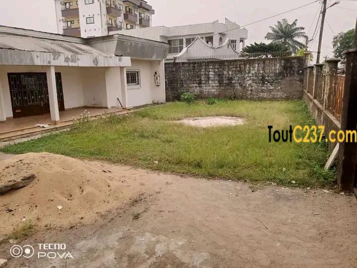 Maison en villa à louer à Bonaberi