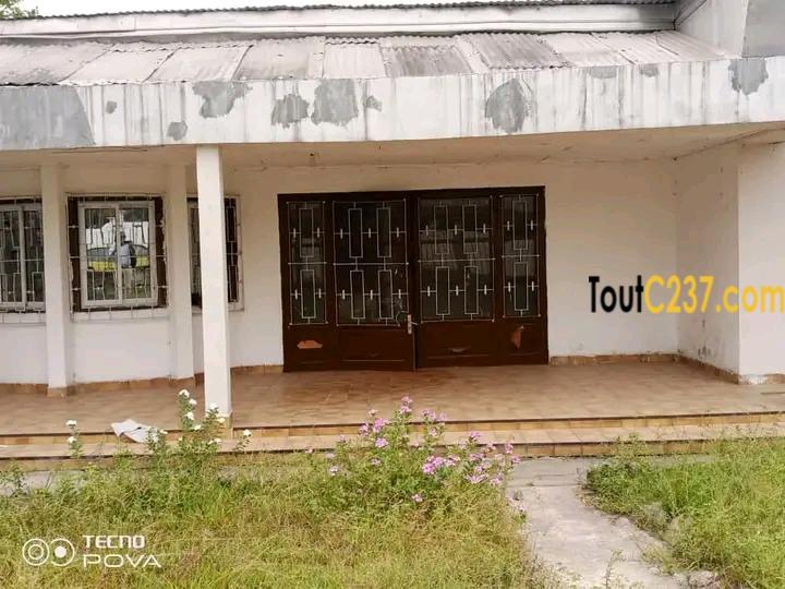 Maison en villa à louer à Bonaberi