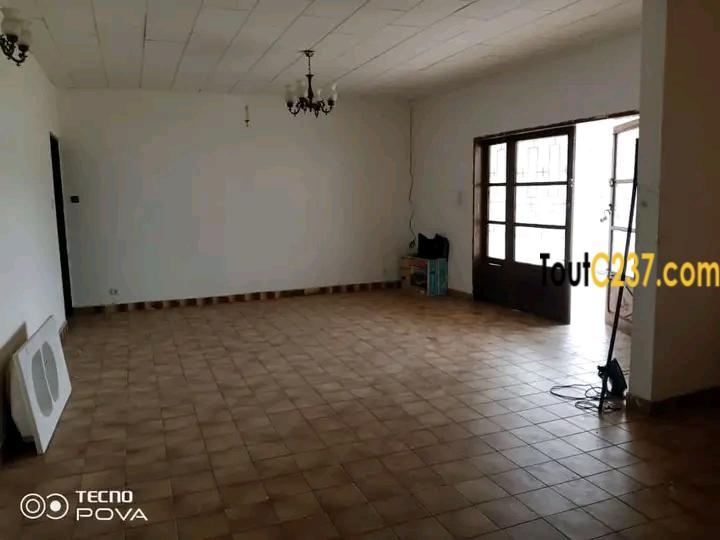 Maison en villa à louer à Bonaberi