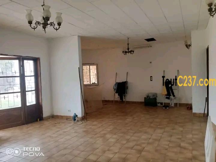 Maison en villa à louer à Bonaberi