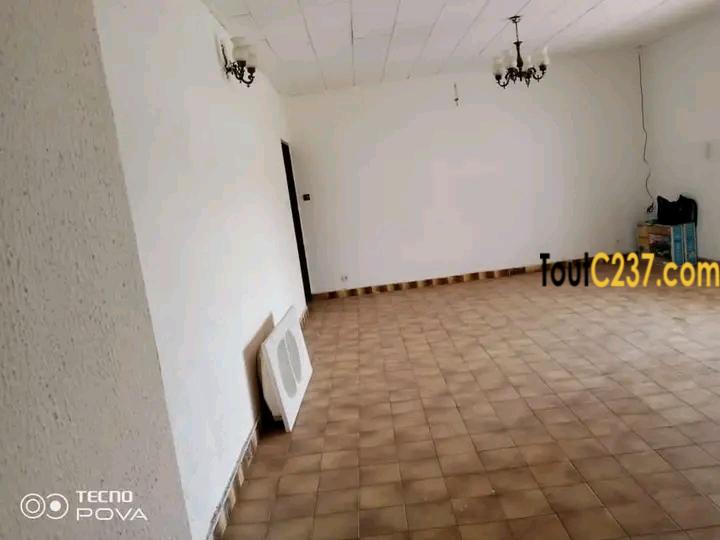 Maison en villa à louer à Bonaberi