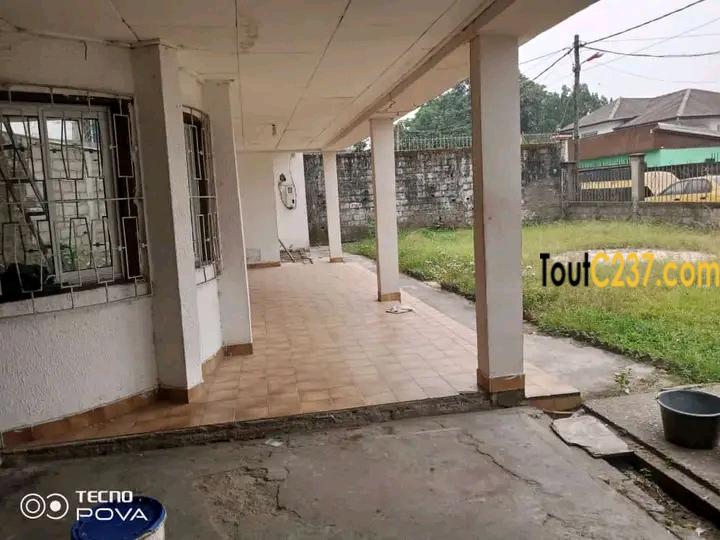 Maison en villa à louer à Bonaberi