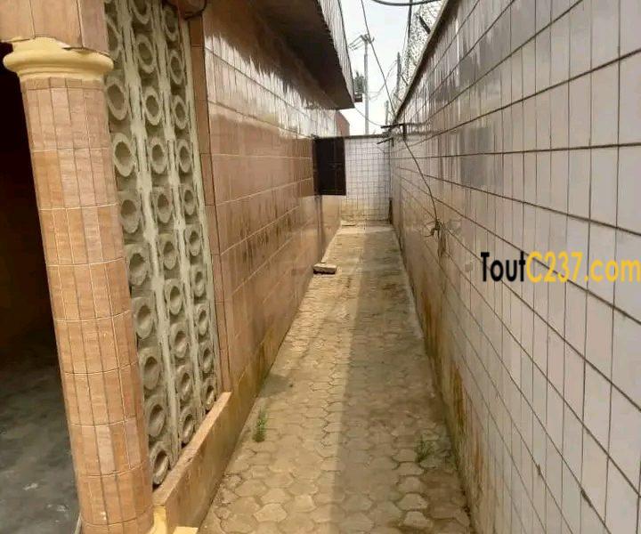 Maison en villa a louer à Nyalla, Douala