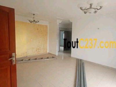 Appartement à a louer à a Akwa Douala