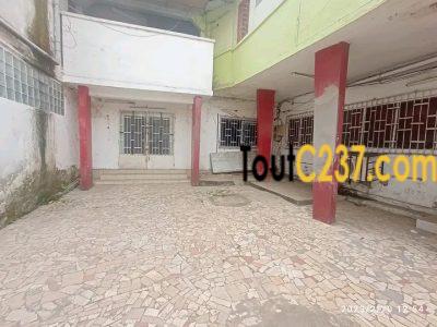 Maison en villa à louer à Bonapriso