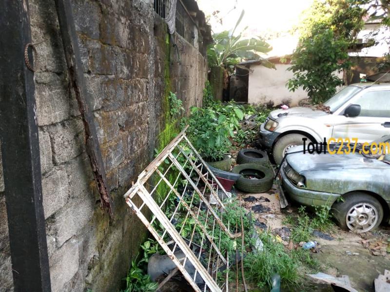 Terrain d'angle à vendre a Bali, Douala