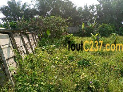 Terrain commercial à vendre à Bonanjo