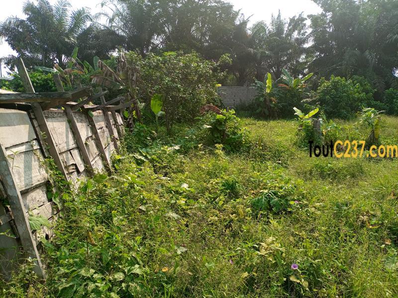 Terrain commercial à vendre à Bonanjo