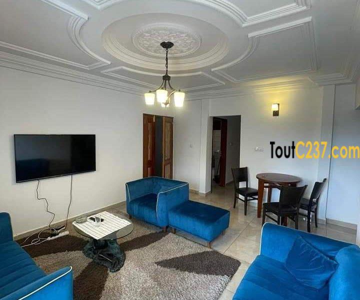 Appartement à louer à Bonamoussadi