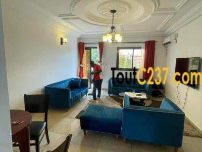 Appartement à louer à Bonamoussadi