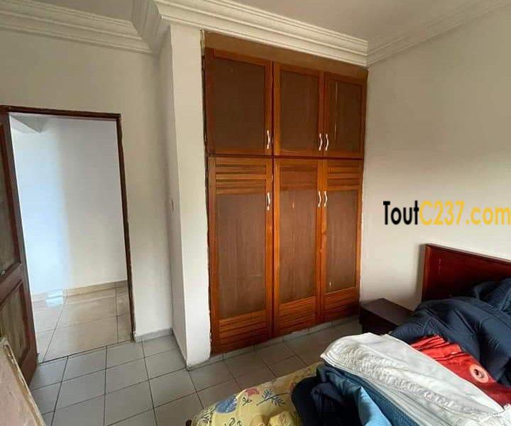 Appartement à louer à Bonamoussadi