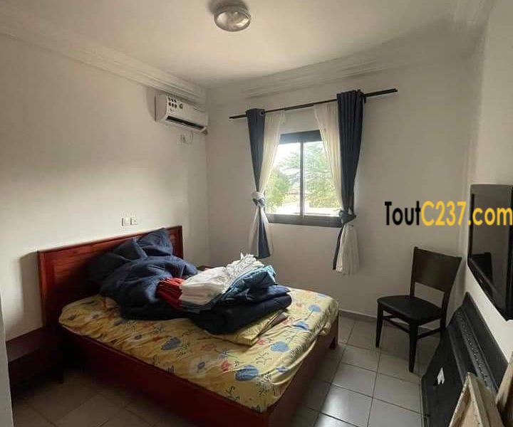 Appartement à louer à Bonamoussadi