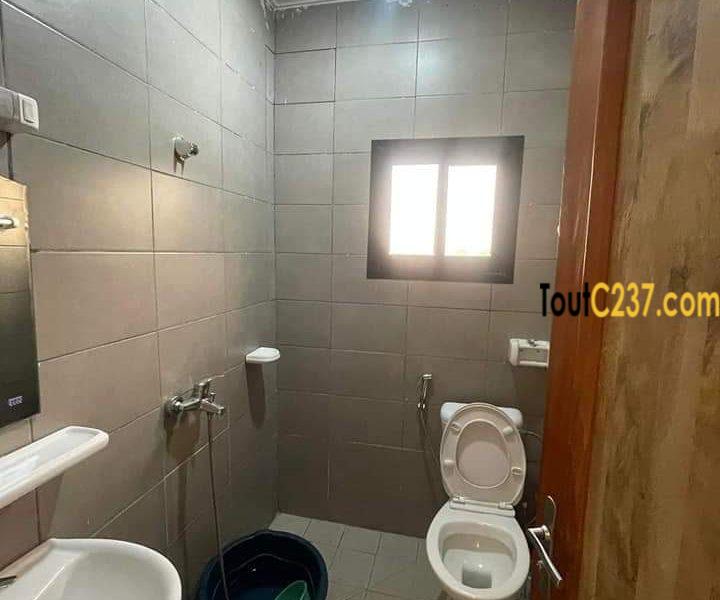 Appartement à louer à Bonamoussadi