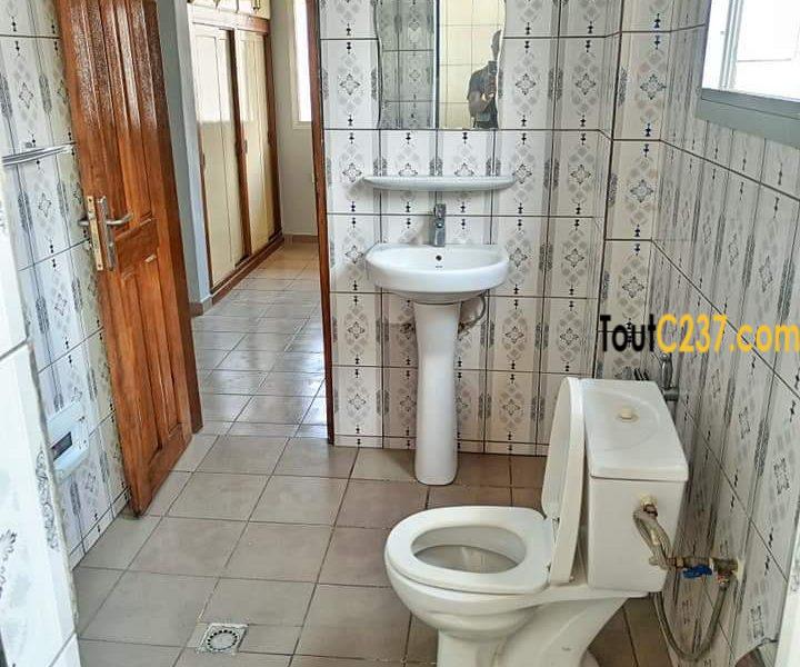 Appartement a louer a Kotto, Douala