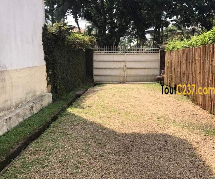 Maison en duplex à louer à Bonapriso