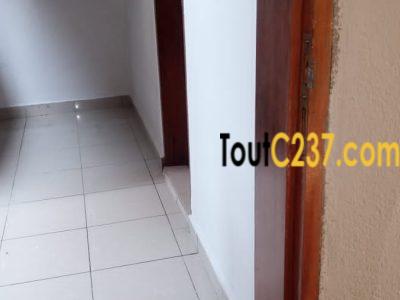 Appartement à louer à Bonamoussadi