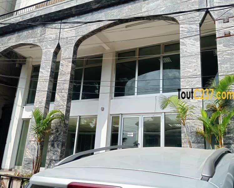 Espace commercial à louer à Bonapriso