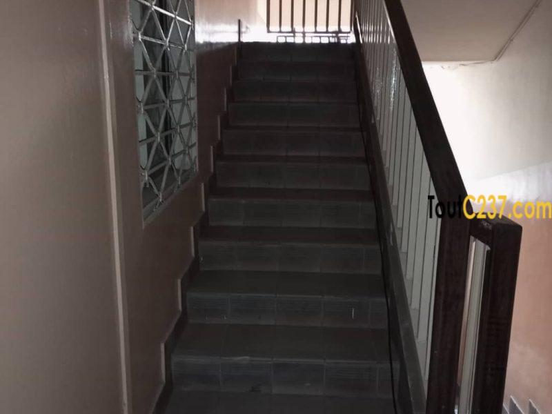 Bureaux à louer à Akwa, Douala