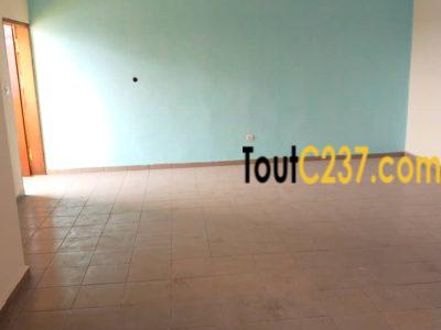 Appartement neuf à louer à Bonamoussadi