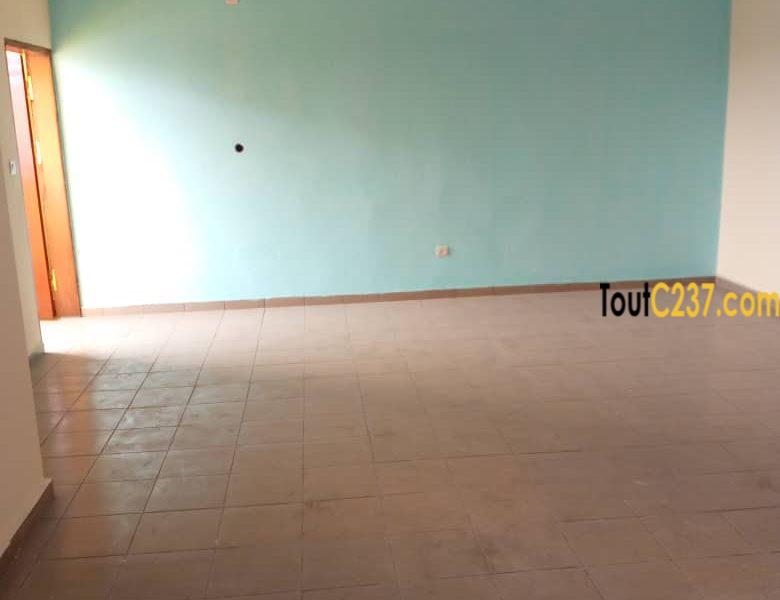 Appartement neuf à louer à Bonamoussadi