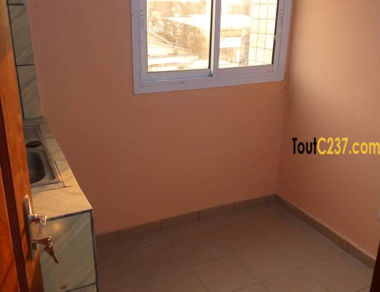 Appartement neuf à louer à Bonamoussadi