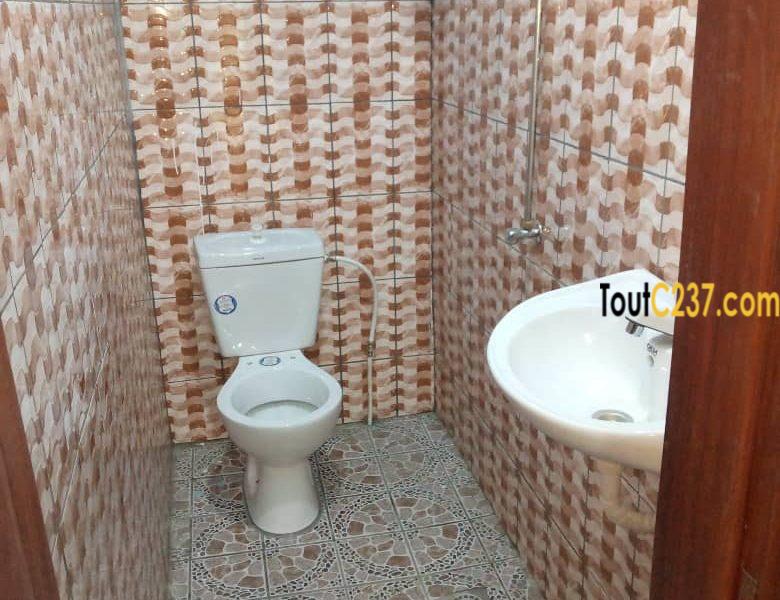 Appartement neuf à louer à Bonamoussadi