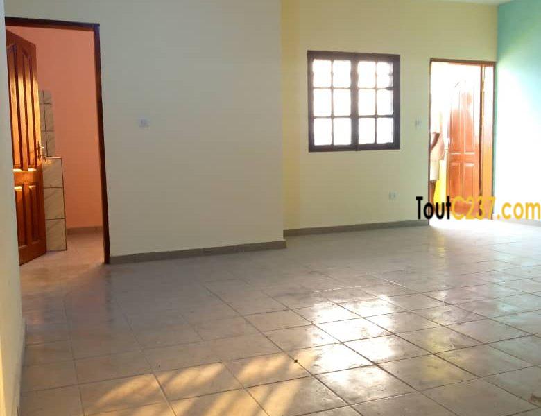 Appartement neuf à louer à Bonamoussadi