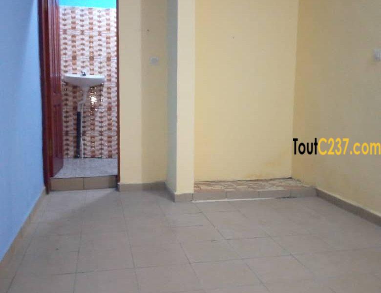 Appartement neuf à louer à Bonamoussadi