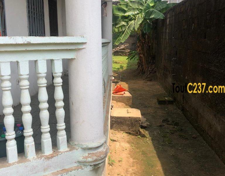 Maison en villa à louer à Makepe