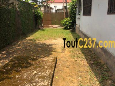 Maison en villa à louer à Makepe