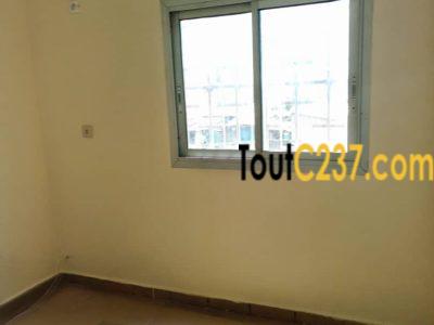Appartement à louer à Bonamoussadi