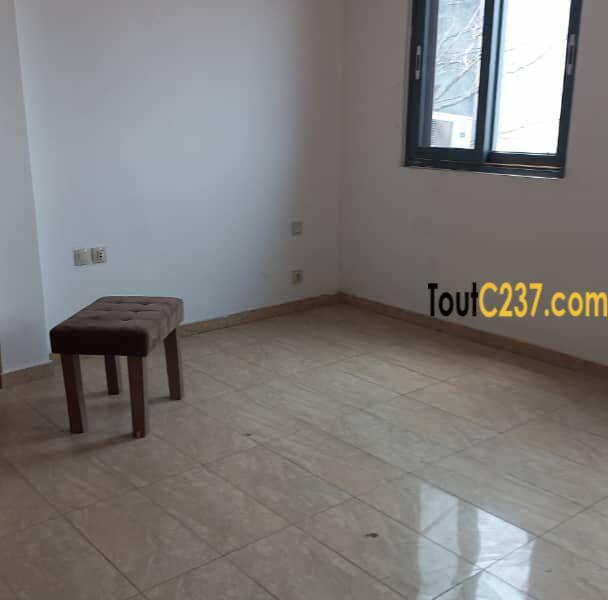 Appartement Penthouse à Bonapriso