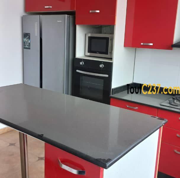 Appartement Penthouse à Bonapriso