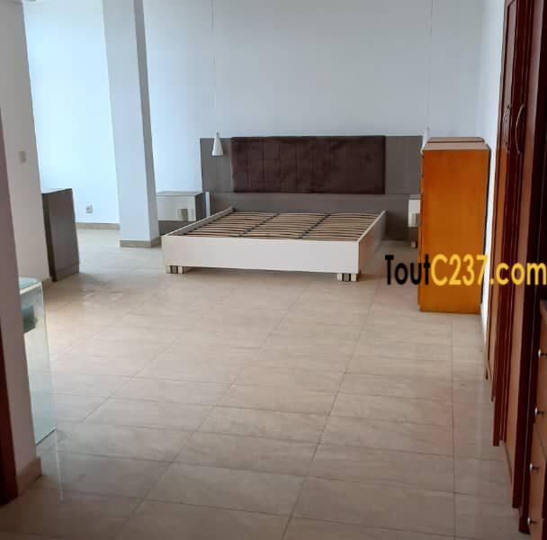 Appartement Penthouse à Bonapriso
