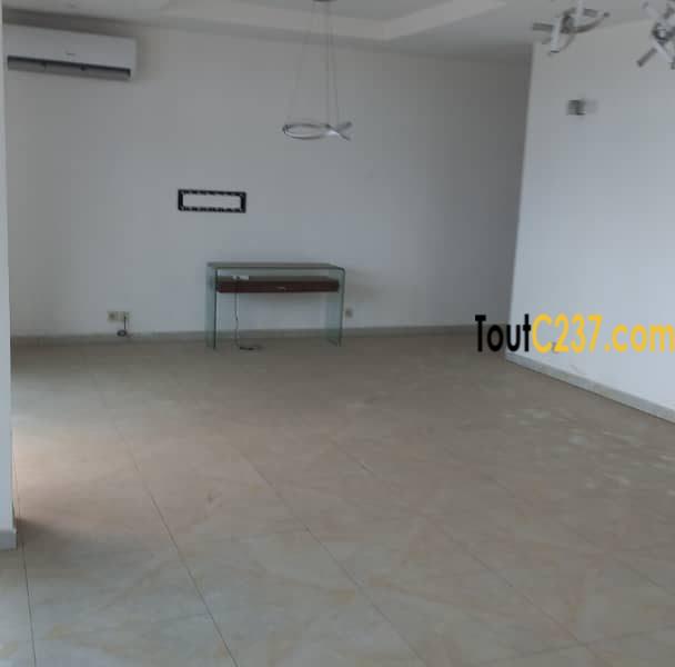 Appartement Penthouse à Bonapriso
