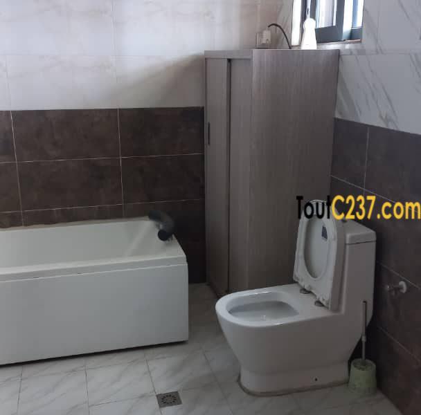 Appartement Penthouse à Bonapriso