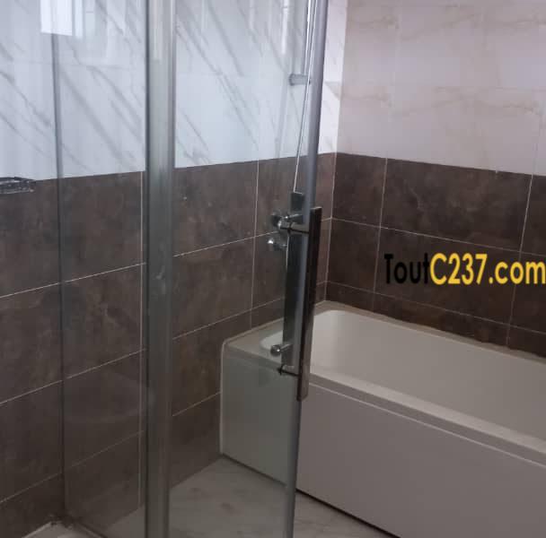 Appartement Penthouse à Bonapriso