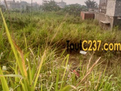 Terrain à vendre à Kotto Chefferie Douala