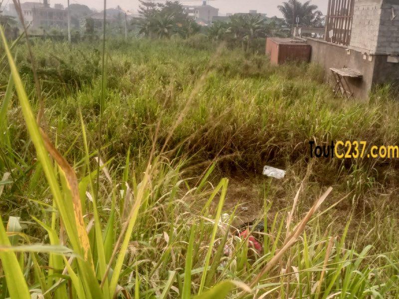 Terrain à vendre à Kotto Chefferie Douala