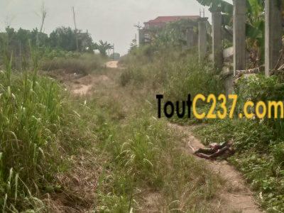 Terrains a vendre a Logbessou (Bzdsong