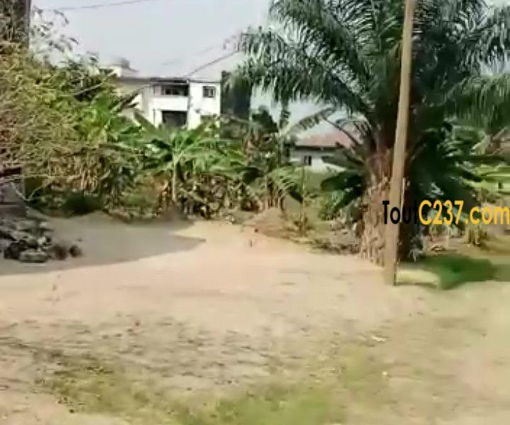 Terrain à vendre à Japoma Douala