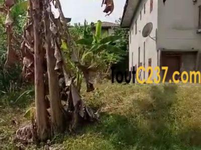 Terrain à vendre à Japoma Douala